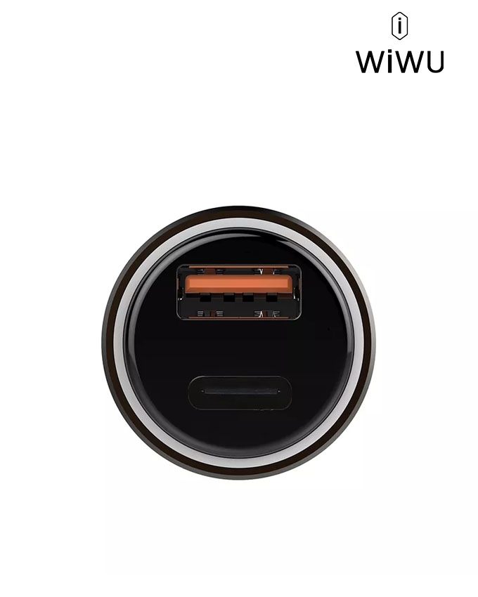 WIWU PC100